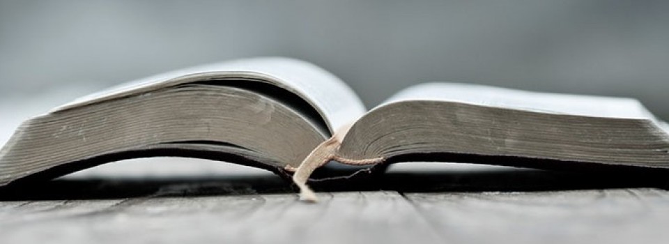 alpha omega first 2 960x350 1 1