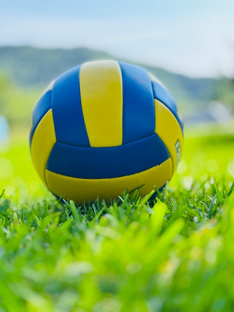 A blue and yellow volleyball resting on vibrant green grass with a blurred outdoor background.